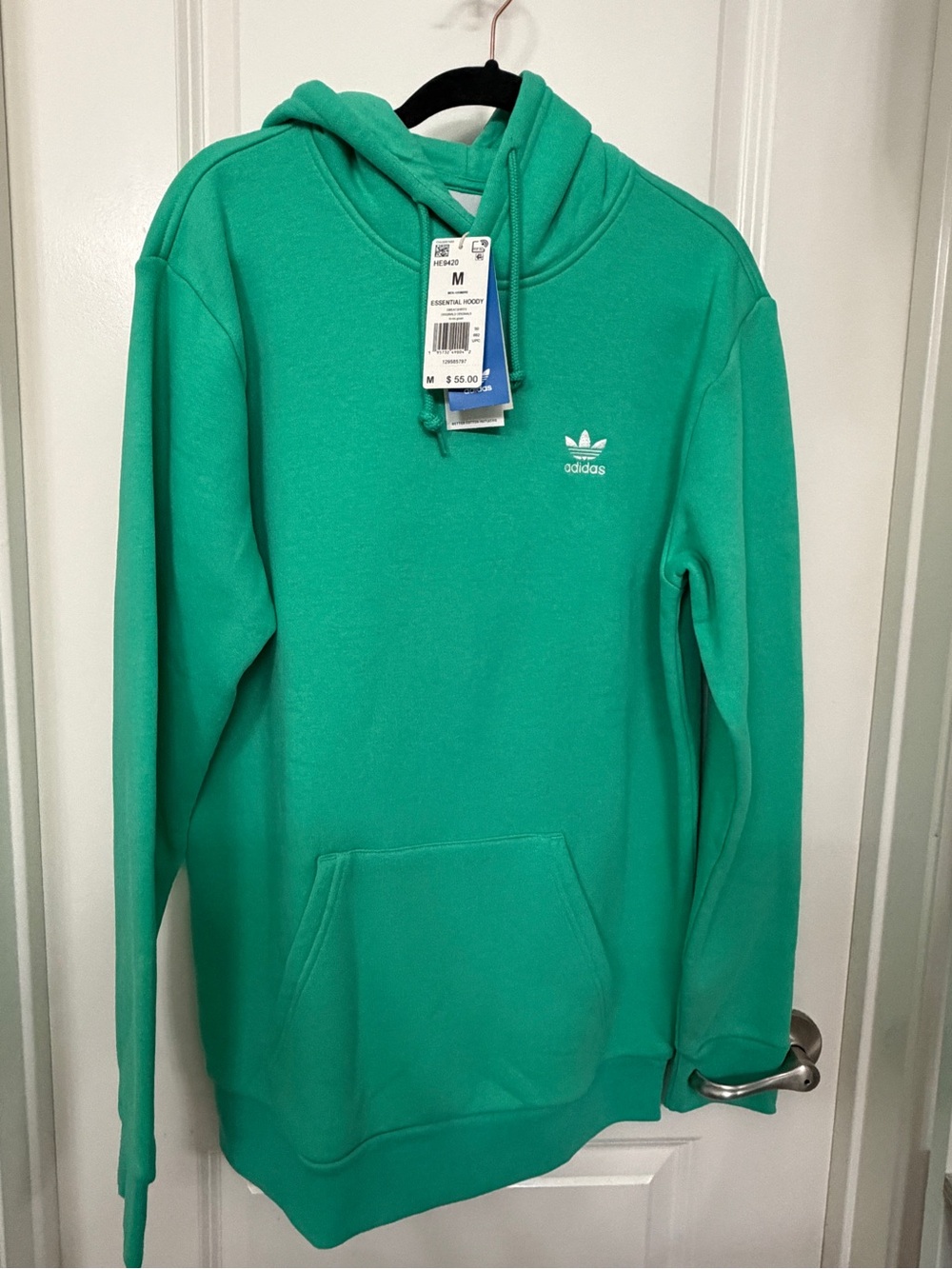 adidas Trefoil Hoodie in Teal Green